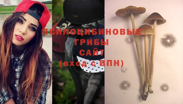 mdma Белокуриха