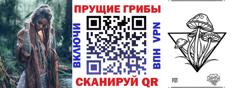 Галлюциногенные грибы Cubensis  продажа наркотиков  Краснослободск 
